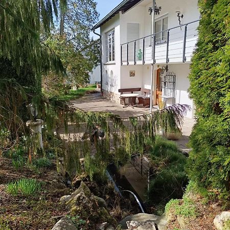 Ferienwohnung Waldblick บัดเดอร์ไฮม์ ภายนอก รูปภาพ