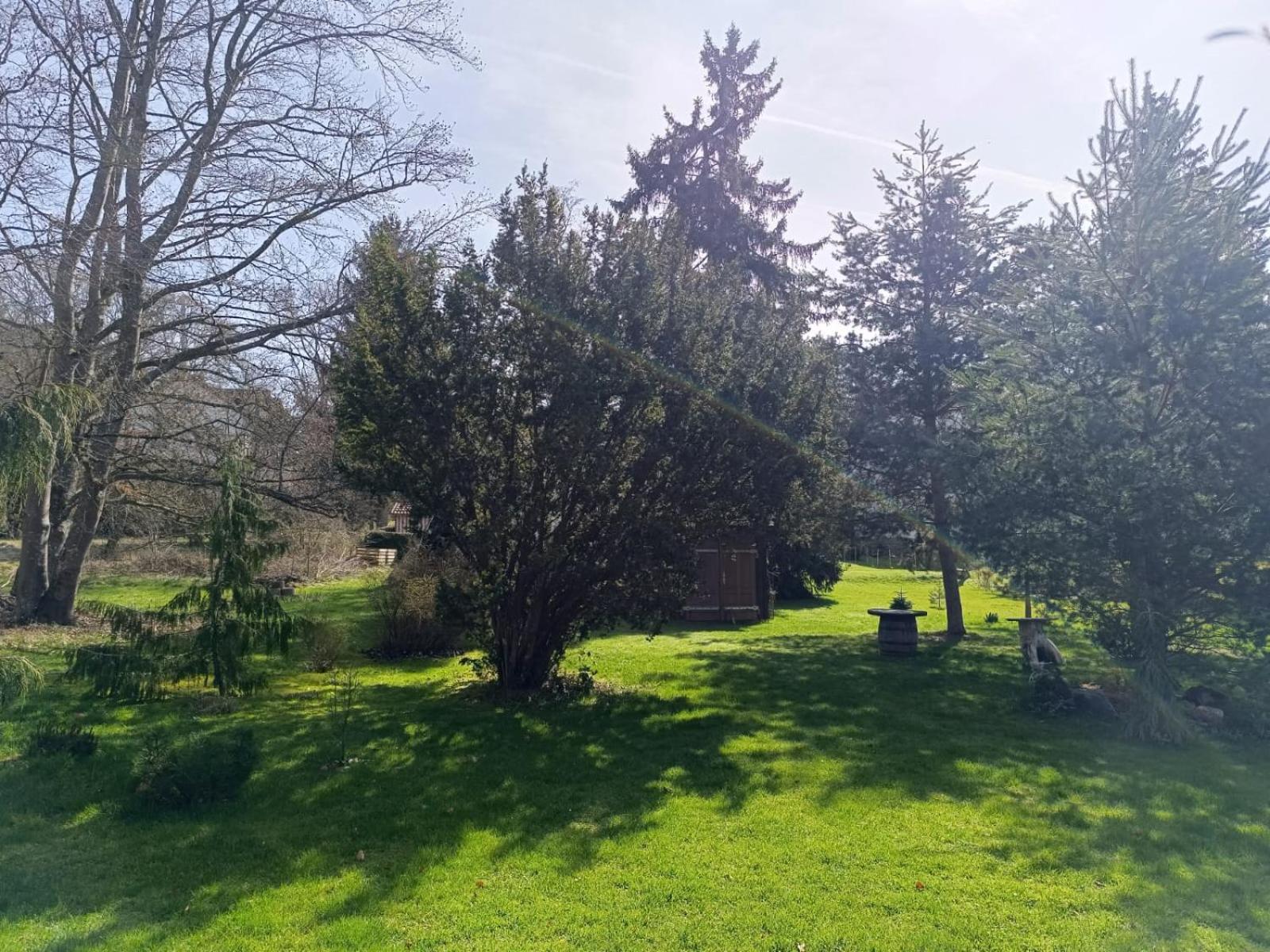 Ferienwohnung Waldblick บัดเดอร์ไฮม์ ภายนอก รูปภาพ