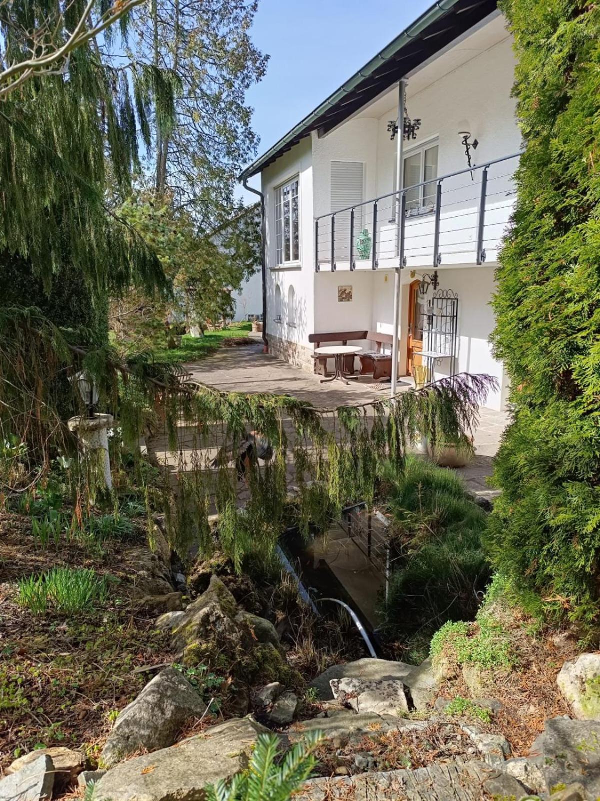 Ferienwohnung Waldblick บัดเดอร์ไฮม์ ภายนอก รูปภาพ